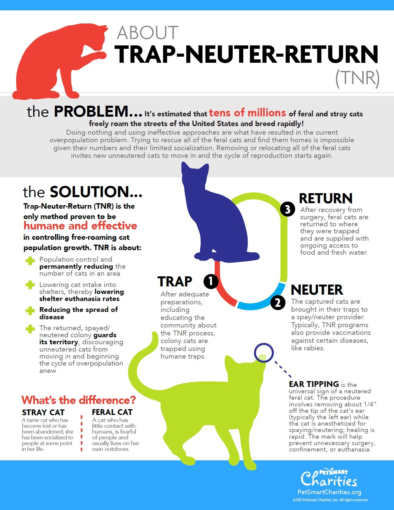 Cat Programs