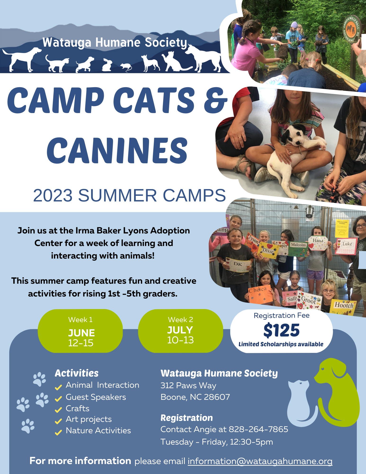 2023 Camp Cats & Canines